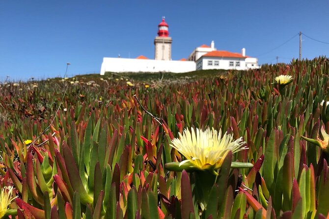 Full Day Tour: Sintra, Pena Palace, Cabo da Roca, Cascais - Who should book this tour?