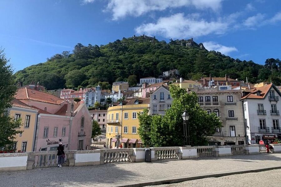 Full-day tour to Sintra with a visit to Pena Palace and Quinta da Regaleira - Private service, guide languages, and accessibility