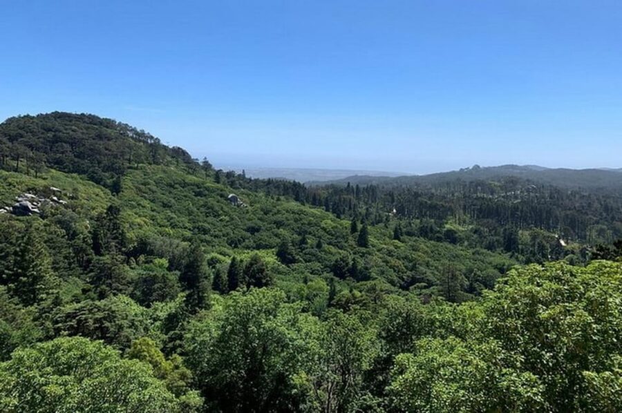 Full-day tour to Sintra with a visit to Pena Palace and Quinta da Regaleira - A short look at Sintra-Cascais Natural Park