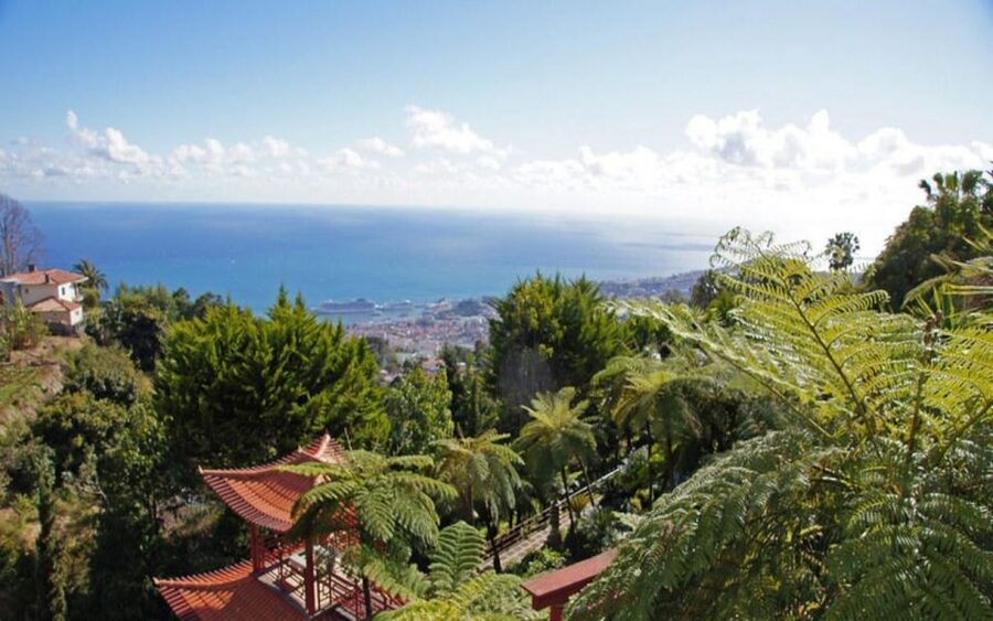 Funchal: Monte Palace Tropical Gardens Tuk Tuk Tour - The uphill route and Funchal viewpoints