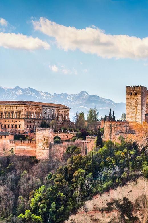 Granada: Alhambra and Nasrid Palaces Private Guide Tour - Why a private Alhambra tour can be worth the cost
