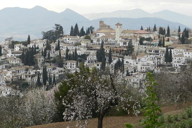 Granada Day Trip: Alhambra & Nazaries Palaces from Seville - Who should book this day trip?