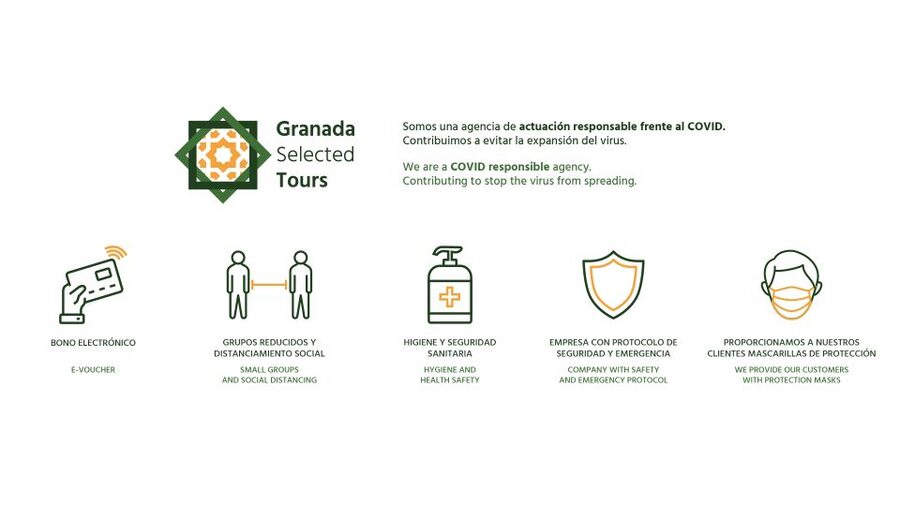 Granada: Fast-Track Alhambra & Nasrid Palaces Guided Tour - Why a guide helps at the Alhambra