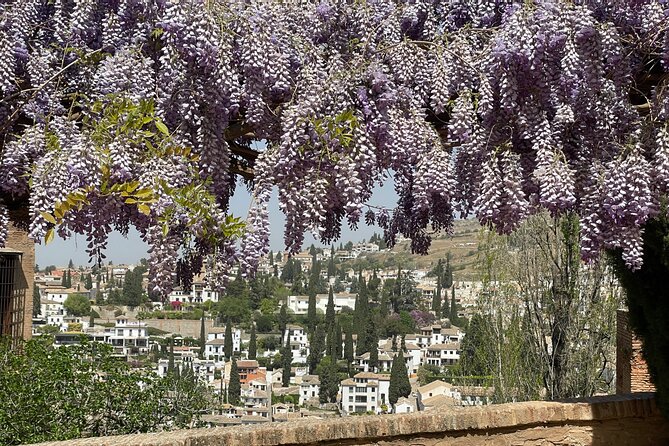 Granada : Private Alhambra Tour + Nazaries Palaces (VIP) - Nasrid Palaces: the central reason to reserve early