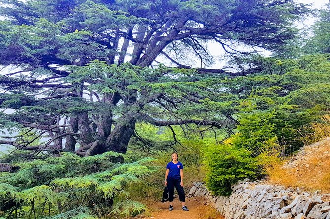 Guided Full-Day Private Trip to Cedars, Baalbek and Chateau Ksara - Leaving Beirut for the Beqaa Valley