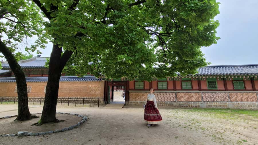 Gyeongbokgung Palace, Jogyesa Temple and Bukchon village - Starting near Anguk Station and Jogyesa Temple