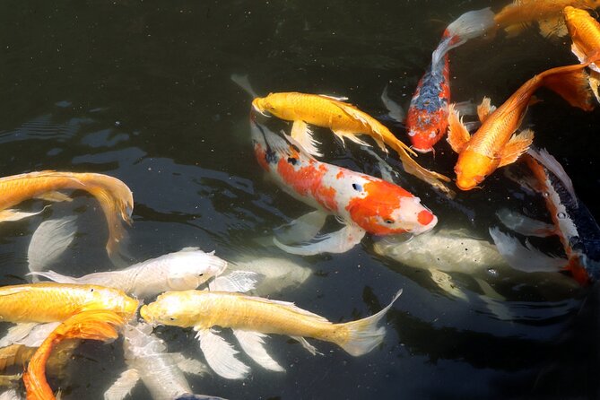 Imperial Palace East Garden and Edo Castle Walking Tour in Tokyo - Timing the tour with the rest of your day