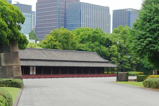 Imperial Palace East Garden and Edo Castle Walking Tour in Tokyo - Meeting at Wadakura Fountain Park