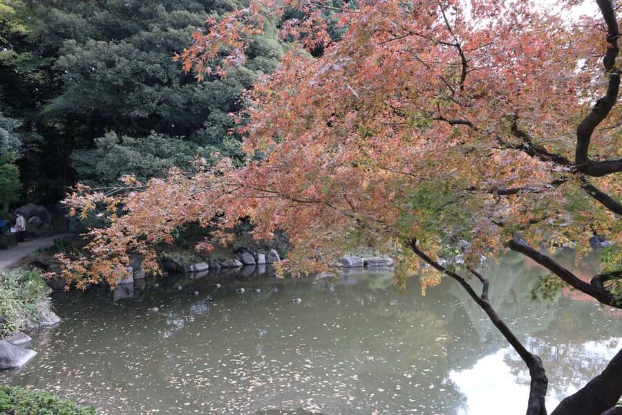 Imperial Palace Tour: Discover Samurai History with a Guide - What the guide adds to the walk