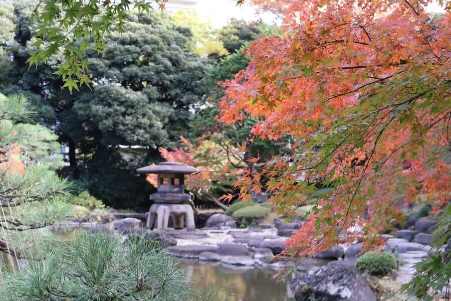 Imperial Palace Tour: Discover Samurai History with a Guide - Who will enjoy this Imperial Palace walk?