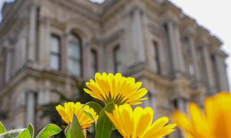 Istanbul: Beylerbeyi Palace Skip-the-Line Ticket & Audio … - Who Will Enjoy This Visit Most?