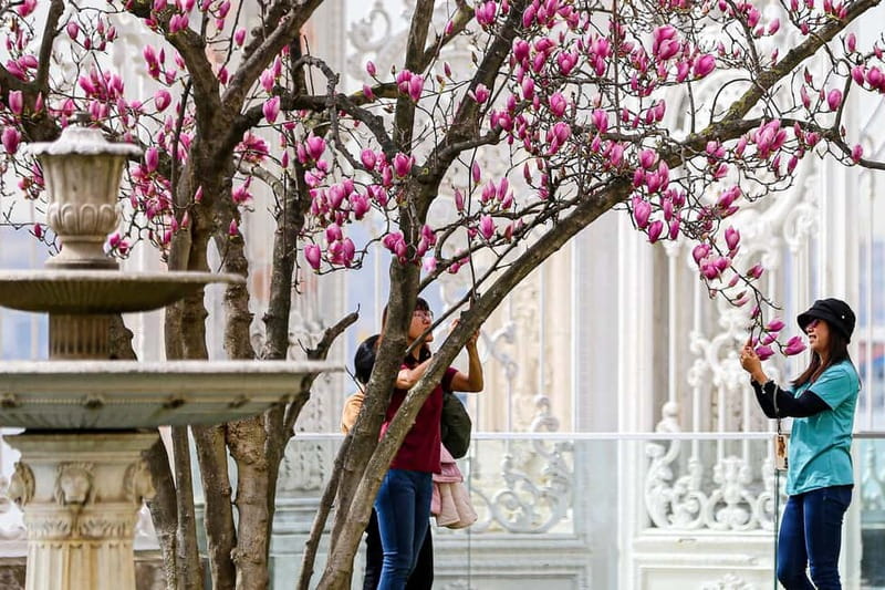Istanbul: Dolmabahce Palace and Harem Fast-Track & Audio - Who Should Book This Palace Ticket?