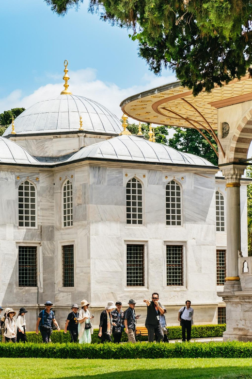 Istanbul: Topkapi Palace and Harem Guided Tour with Ticket - Shared or private, and who will enjoy it most