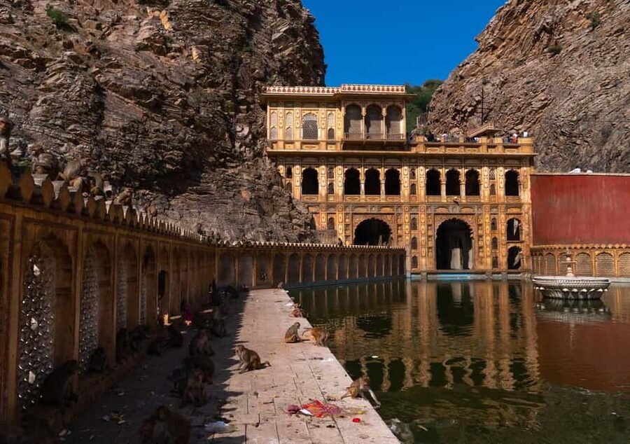 Jaipur: Heritage Forts & Palaces Tour with Monkey Temple - Lunch and the practical rhythm of the day