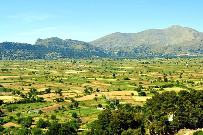 Knossos Palace and/or Zeus Cave + Olive Mill | Local & Private - Zeus Cave: mythology with a physical climb