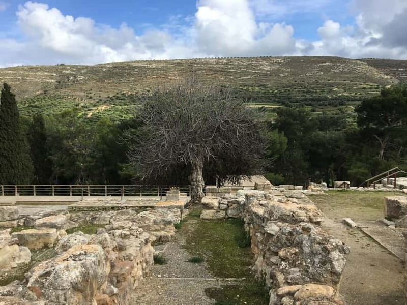 Knossos Palace ( Private tour Skip-The-Line ) - What the private format changes