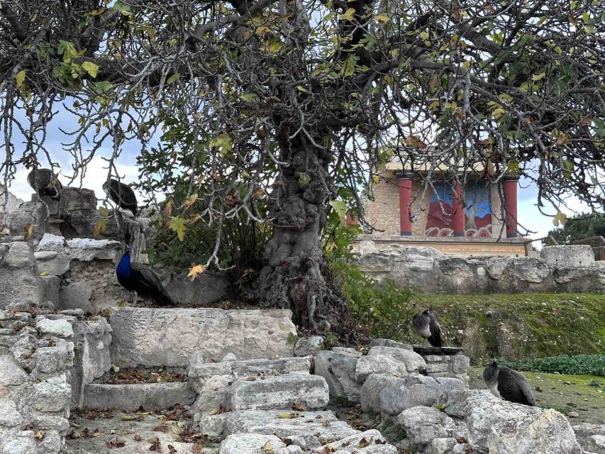Knossos Palace Skip-the-Line Ticket & Private Guided Tour - Choosing the best time: 9 a.m. or late afternoon