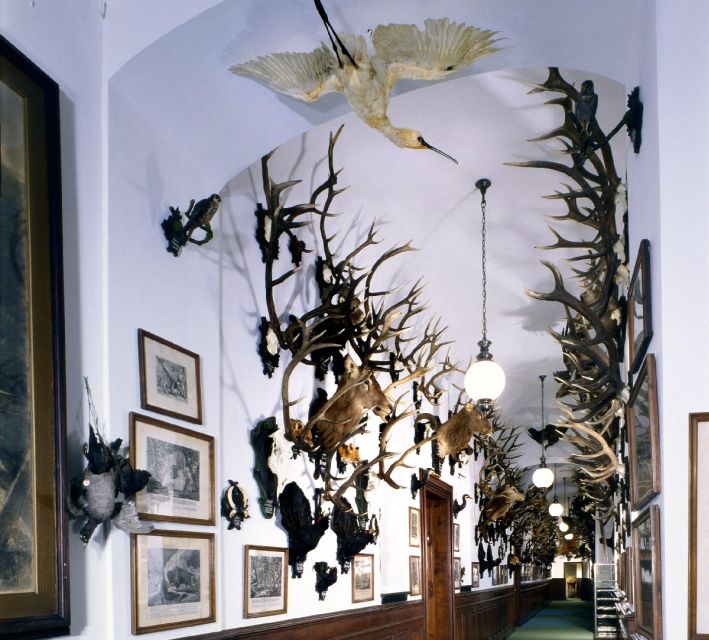 Konopiště: Chateau Tour from Prague - The Franz Ferdinand connection