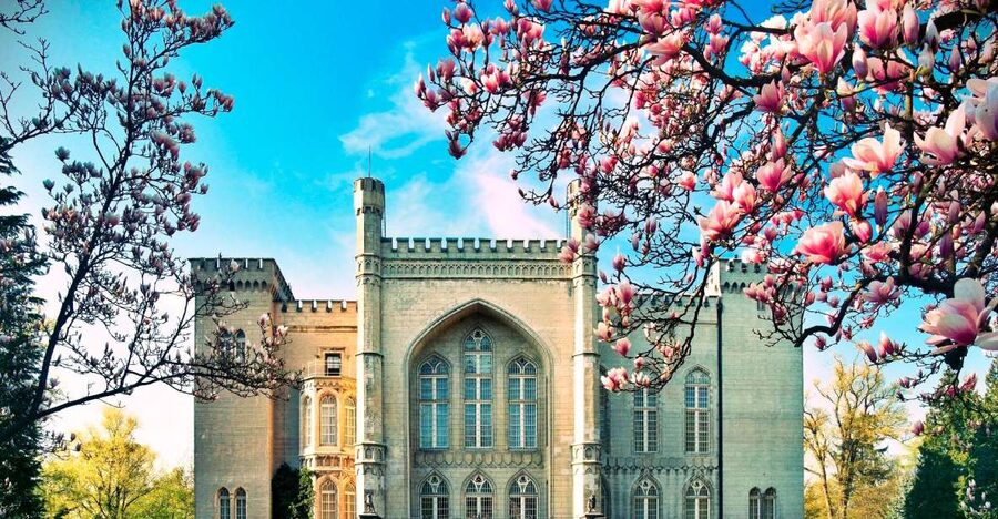 Kornik Castle and Rogalin Palace Half-Day Private Tour - Why this half-day route works from Poznan