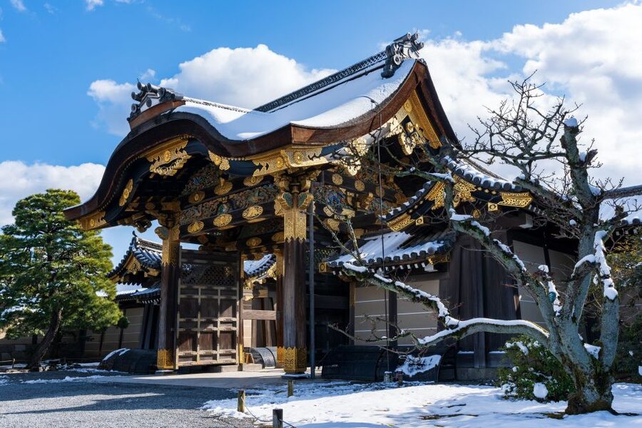 Kyoto: Imperial Palace & Nijo Castle Guided Walking Tour - How Much Walking and Time Should You Expect?