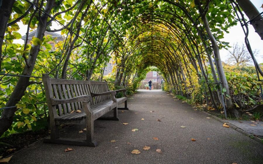 London Afternoon Tea, Fast-Track Kensington Palace Tickets - Tea in the Kensington Palace Gardens