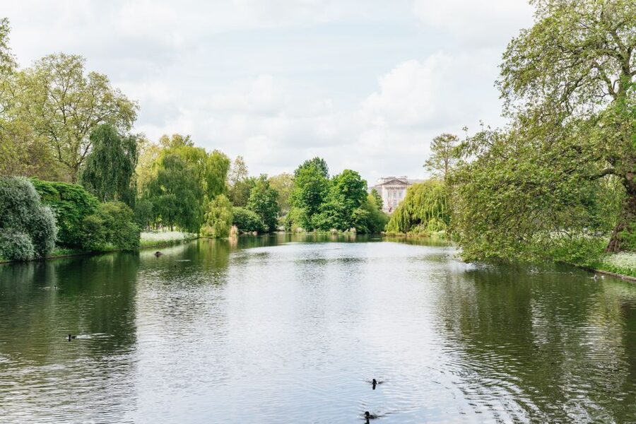 London: Changing of the Guard Tour by Buckingham Palace - Weather, cancellations, and changing ceremony details