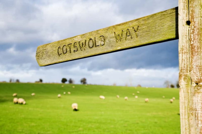 London: Cream Tea at Blenheim Palace & the Cotswolds Tour - Who should book this tour?