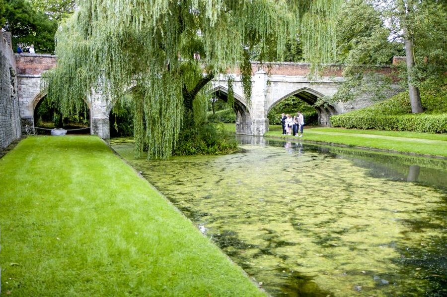 London: Entry Ticket to Eltham Palace and Gardens - The circular entrance hall makes the first impression