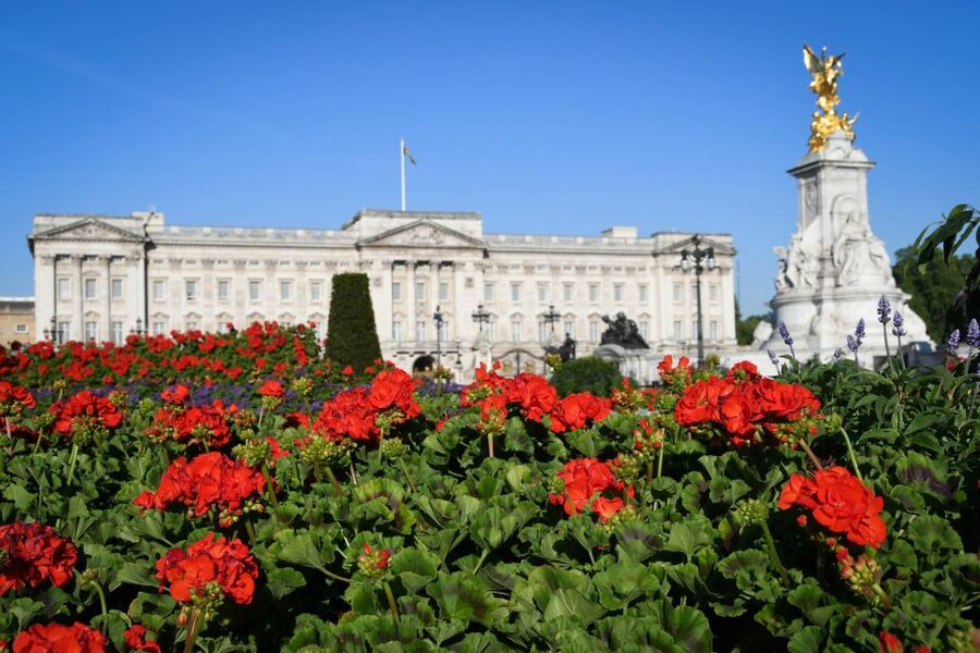 London: Palaces and Parliament Walking Tour - Guide quality and the small-group feel