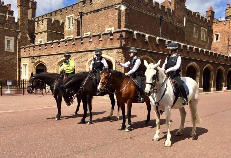 London: Westminster Walking Tour and Kensington Palace Visit - A strong first look at royal London