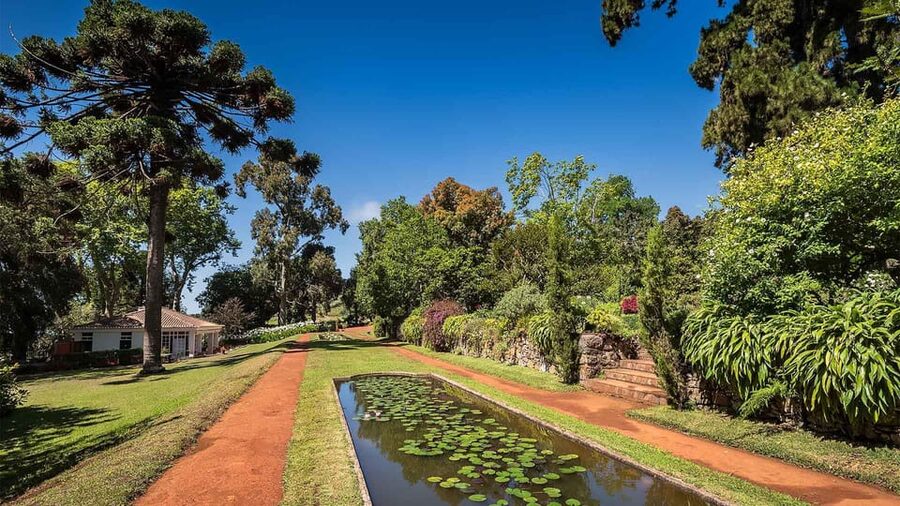 Madeira: Botanical, Monte Palace, and Palheiro Gardens - Madeira Botanical Garden: plants with a view