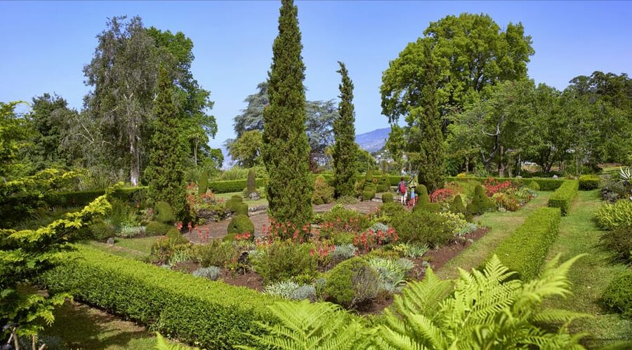 Madeira: Botanical, Monte Palace, and Palheiro Gardens - Palheiro Gardens: a quieter finish on the Blandy estate