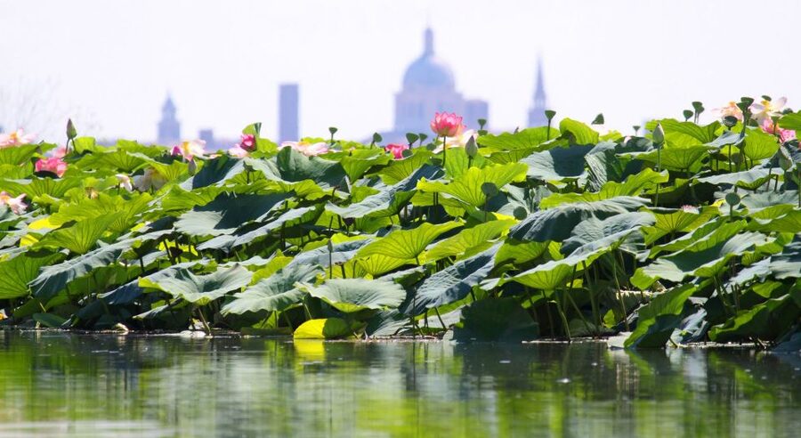 Mantova City Center and Ducal Palace: 3-Hour Guided Tour - Is three hours enough?