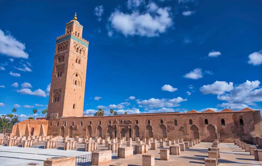 Marrakech: Bahia Palace, Madrasa Ben Youssef & Secret Garden - Secret Garden: a calmer final stop
