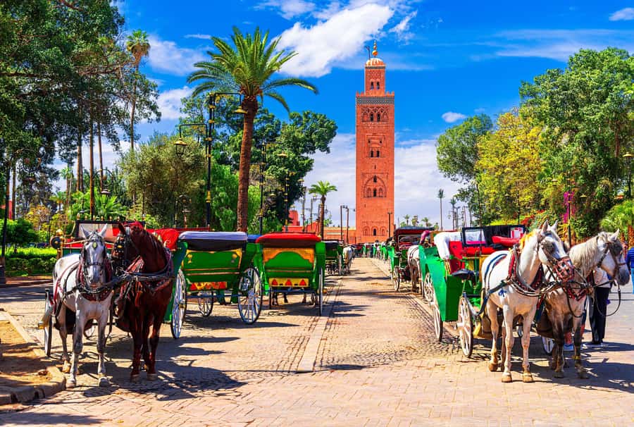 Marrakech: Bahia Palace, Madrasa Ben Youssef & Secret Garden - Koutoubia Mosque: a quick orientation stop