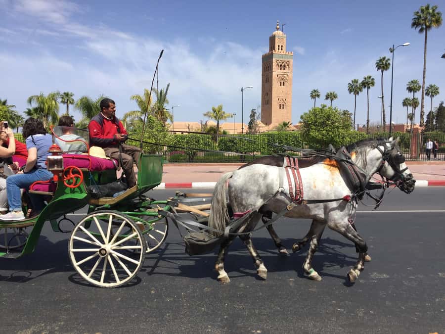 Marrakech: Bahia Palace, Saadian Tombs, & Koutoubia Mosque - Why this three-hour walk works well