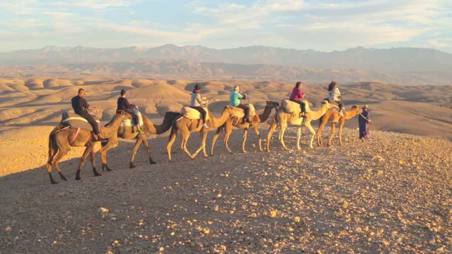 Marrakech Palaces and Monuments Half-Day Tour - What the $29 price really buys you