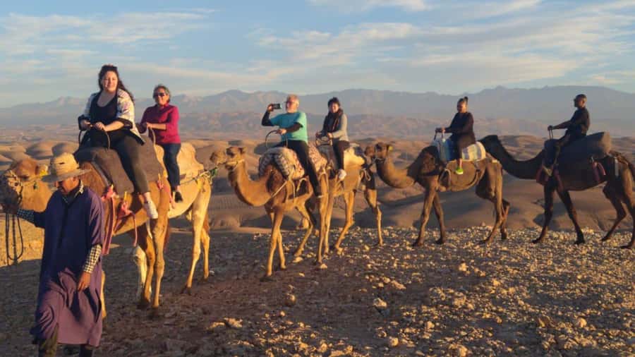 Marrakech Palaces and Monuments Half-Day Tour - Who should choose this half-day tour