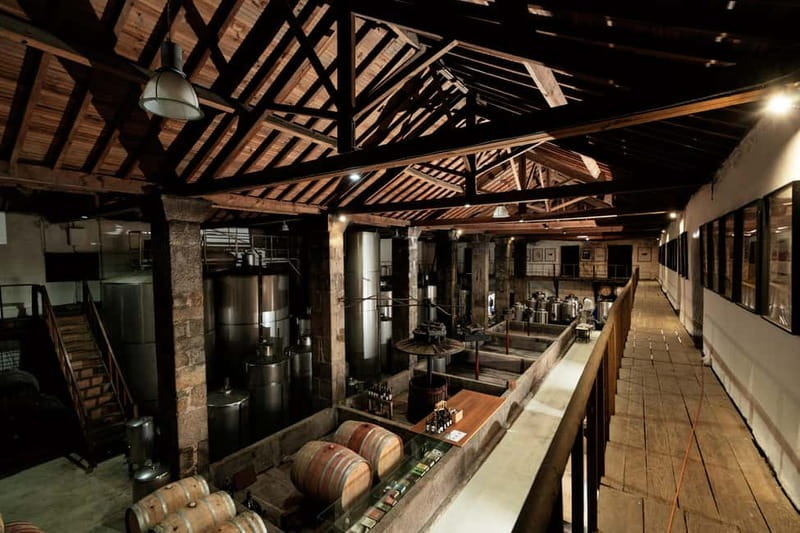 Mateus Palace - In the Footsteps of Wine History - Gardens with fruit trees, herbs, and vines