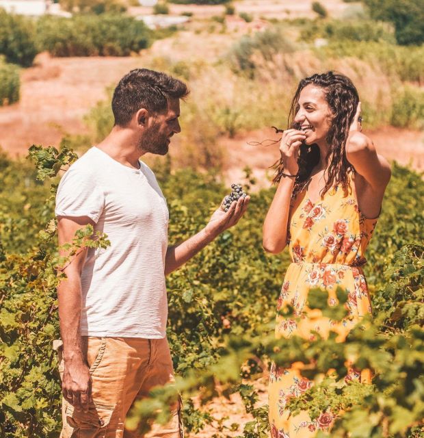 Minoan Luxuries: Ancient Palaces, Messara Wineries & Matala - Key points at a glance