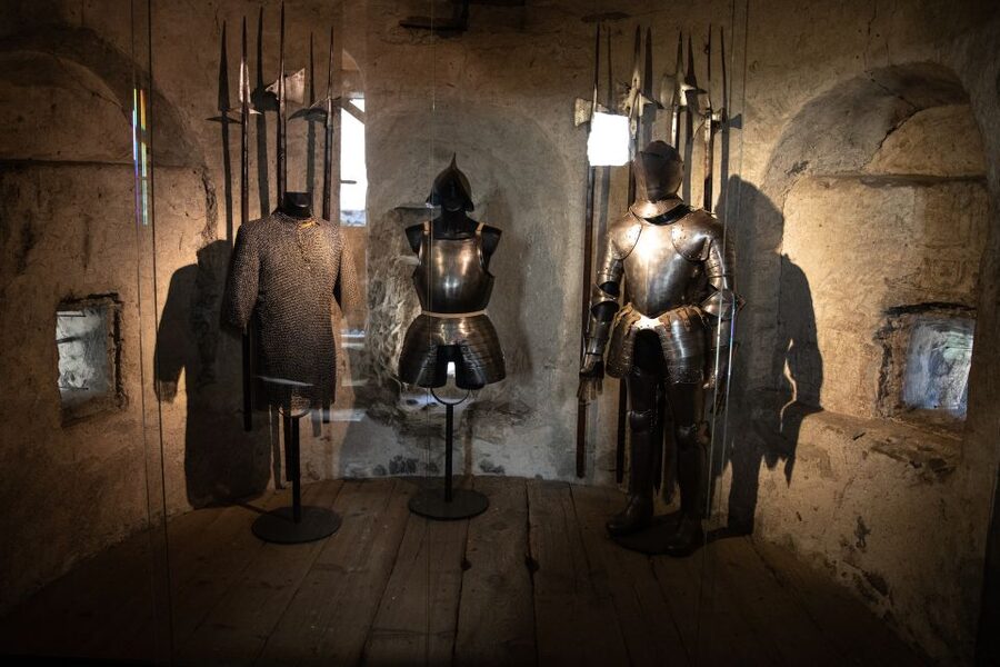 Montreux: Chateau Chillon Entrance Ticket - Should you rent the 6 CHF audio guide?