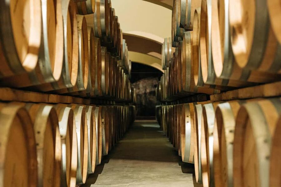 Narbonne : Guided Tour of the Château l'Hospitalet & Tasting - Learning how to taste wine