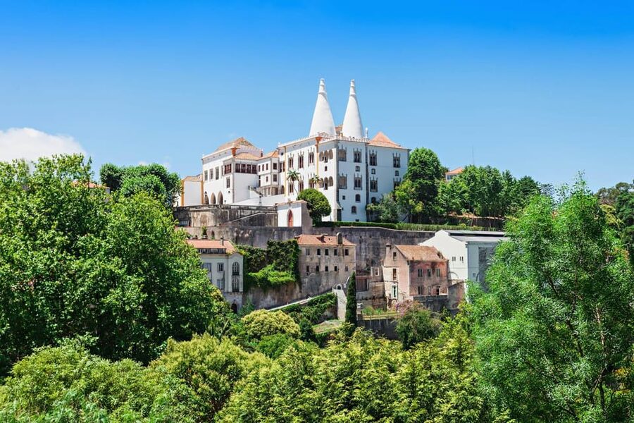 National Sintra Palace E-Ticket and Audio Guide - The Swan Room and the palace’s royal showpieces