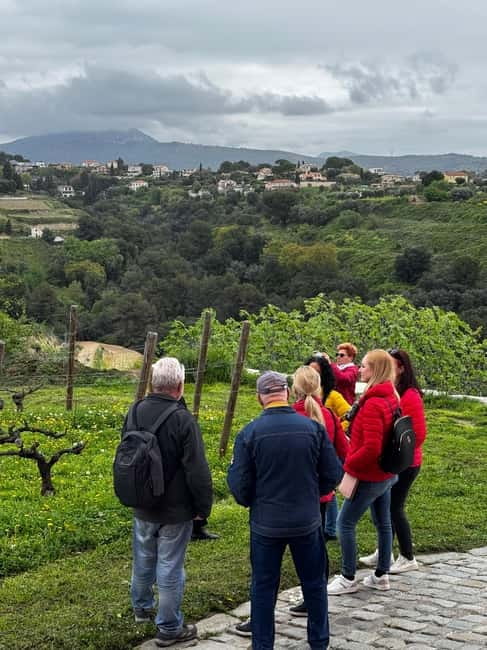 Nice : Wine Tasting at a Historic Château in a Land Rover ! - Gardens, art, and the château shop