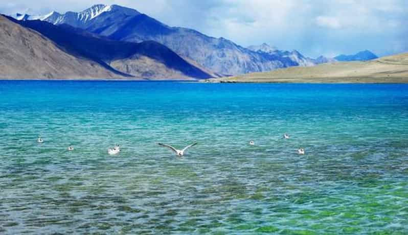 Overnight Pangong Tour From Leh With Thiksey & Shey Palace - What the overnight stop really includes