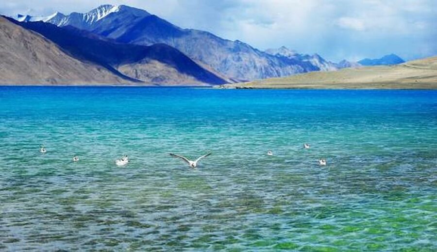 Overnight Pangong Tour From Leh With Thiksey & Shey Palace - Shey Palace above the Indus Valley