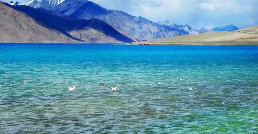 Overnight Pangong Tour From Leh With Thiksey & Shey Palace - A private driver, not a private guide
