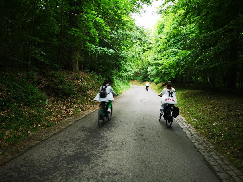Paris: Versailles Palace and Queen Hamlet E-Bike Tour - The gardens and the return to Paris
