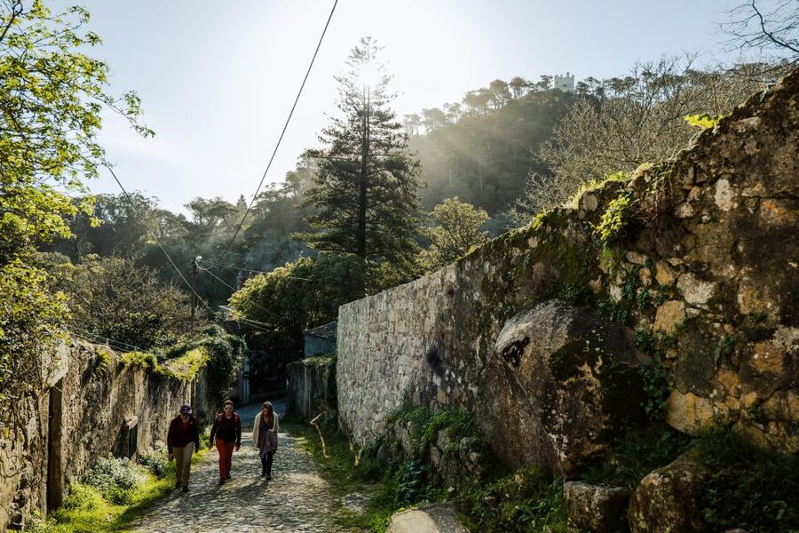 Pena Palace, Moorish Castle,Quinta ad Regaleira:Walking tour - Starting at Rua Castilho 77 in Lisbon