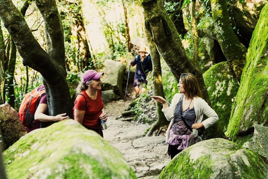 Pena Palace, Moorish Castle,Quinta ad Regaleira:Walking tour - Walking from the castle to Pena Palace